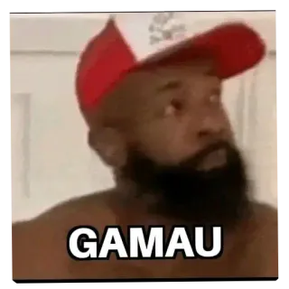 🖼 GAMAU man, hat, reaction, meme, refusal telegram sticker
