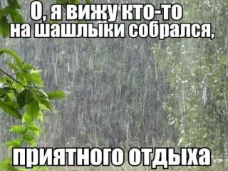 😽 О, я вижу кто-то на шашлыки собрался,
приятного отдыха Regen, Grillen, Picknick, Lustig, Witz, Russisch, Meme telegram sticker