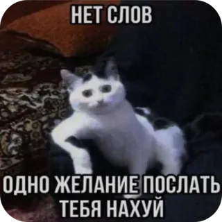 Больше стиков тут: @stikery4 telegram stickers