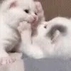 😘