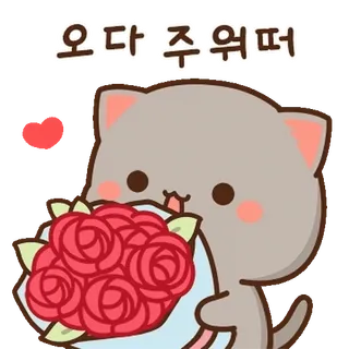 💬 오다 주워퍼 猫, 花, 花束, 可爱, 心, 卡通 telegram sticker