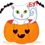 🎃 cat, kitten, pumpkin, halloween, cute, hearts, sticker telegram sticker