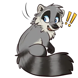 ‼ raccoon, animal, cartoon, cute, mammal, furry whatsapp sticker
