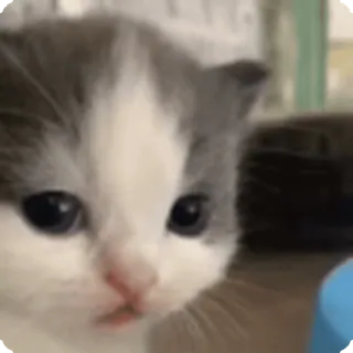 😳