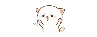 😠 gatto, arrabbiato, dito medio, offensivo whatsapp sticker