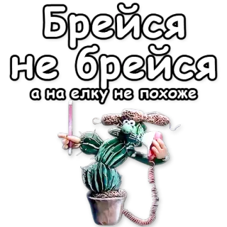 🌵 Брейся
не брейся
а на елку не похоже kaktus, kreskówka, telefon, roślina telegram sticker