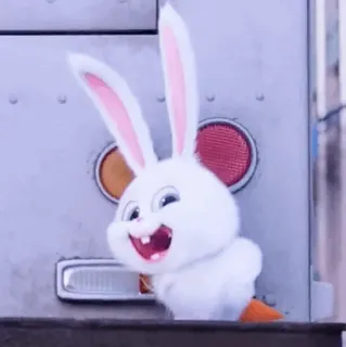 ☁️ Snowball The Secret Life of Pets Cartone animato, Coniglio, Animale, Animato, Carino whatsapp sticker