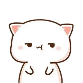 🐼 кот, милый, стикер, животное, выражение telegram sticker