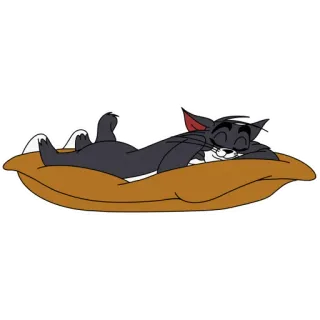 😴 Tom Cat Tom and Jerry cartone animato, gatto, dormire, cuscino, animato telegram sticker