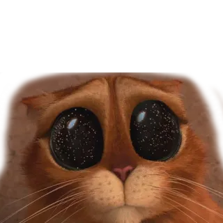 😿 Puss in Boots Katze, große Augen, Cartoon, Dreamworks, animiert whatsapp sticker