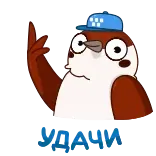👌 bird, middle finger, rude, cartoon, offensive whatsapp sticker