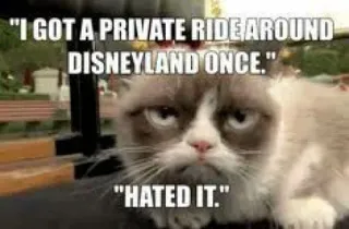 🚶‍♂ "I GOT A PRIVATE RIDE AROUND
DISNEYLAND ONCE."
"HATED IT." 暴躁猫, 表情包, 迪士尼乐园, 猫, 搞笑, 幽默 whatsapp sticker