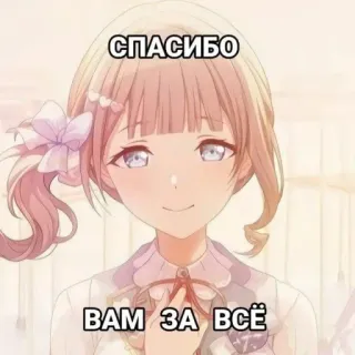 🤩 СПАСИБО
ВАМ ЗА ВСЁ anime girl, thank you, cute, anime, text, russian telegram sticker