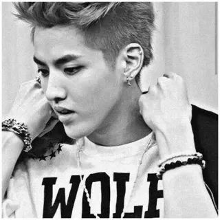 ➰ WOLF คน, ผู้ชาย, หมาป่า, เสื้อยืด, คริส วู telegram sticker