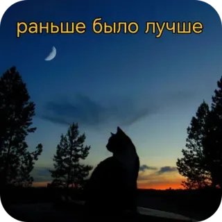 ❤‍🩹 раньше было лучше cat, night, moon, silhouette, text, russian, sky, landscape whatsapp sticker