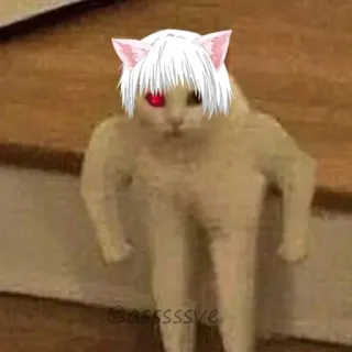 😠 gato, anime, engraçado, meme, internet, animal telegram sticker