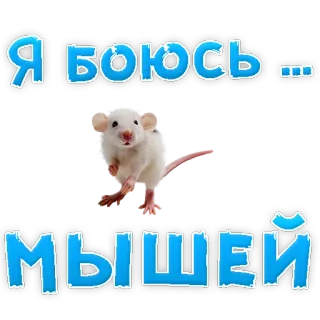 😢 Я боюсь ... мышей muis, angst, knaagdier, bang, dier, rat, tekst whatsapp sticker