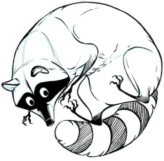 ❗ rakun, hewan, satwa liar, mamalia, kartun, sketsa telegram sticker