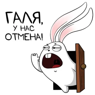 белый кролик whatsapp stickers