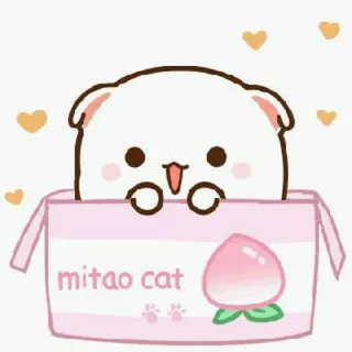 🍓 mitao cat kucing, lucu, persik, mitao, binatang, kartun whatsapp sticker