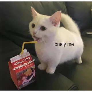 😿 falling in love with people online, lonely me kot, online, miłość, samotny, sok telegram sticker