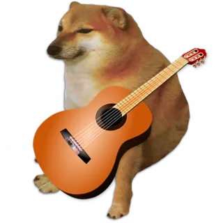 🎸 犬, ミーム, チムス, ドージ, ギター, 音楽 telegram sticker