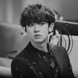 ✖️ Chanyeol K-pop, chanteur, EXO, acteur, musique, idole telegram sticker
