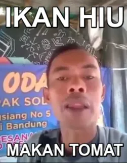 🐋 IKAN HIU
MAKAN TOMAT mann, indonesisch, hai, fisch, essen telegram sticker