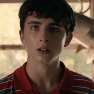 😐 Timothée Chalamet Тимоти Шаламе, актер, портрет, знаменитость whatsapp sticker