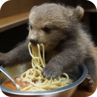 🍲 หมี, สัตว์, บะหมี่, น่ารัก, อาหาร, ราเม็ง, ลูกหมี telegram sticker