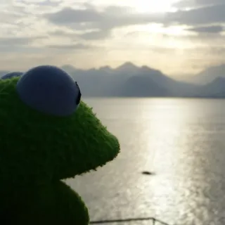 😀 Kermit Kermit the Frog, puppet, landscape, sea, toy, green telegram sticker