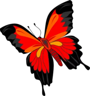 🐝 butterfly, insect, red, orange, wings, nature whatsapp sticker