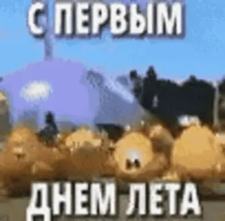 🎉 С ПЕРВЫМ ДНЕМ ЛЕТА verano, saludo, primer día, celebración, vacaciones, animado telegram sticker