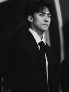➖ Sehun retrato, homem, terno, preto e branco, exo telegram sticker