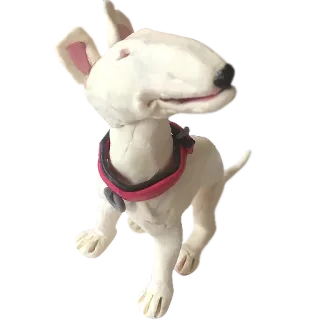 😀 dog, bull terrier, animal, pet telegram sticker