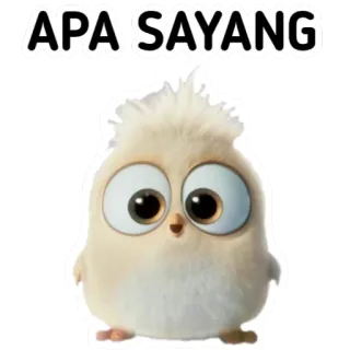 🙃 APA SAYANG lindo, pájaro, apa sayang, amor, afecto, adorable telegram sticker