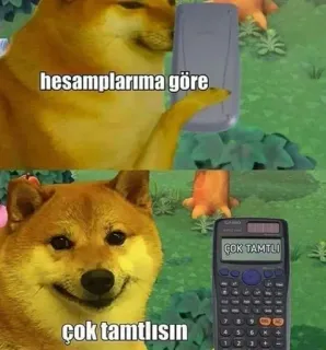 🌟 hesaplarıma göre
çok tamtlısın
çok tamtlı doge, cachorro, meme, calculadora, adorável telegram sticker