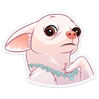 😳 chihuahua, cachorro, fofo, animal, animal de estimação, adesivo, desenho animado whatsapp sticker