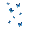 🦋
