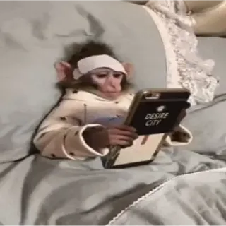 💤 małpa, łóżko, telefon, zwierzę, słodki telegram sticker