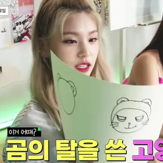 💐 이거 어때? 곰의 탈을 쓴 고양이 whatsapp sticker