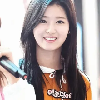 🐹 애교덩어리 femme, coréenne, sourire, portrait, cheveux noirs telegram sticker
