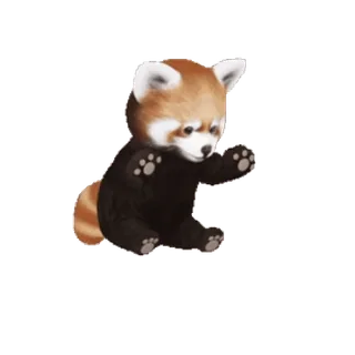 🥳 panda rosso, carino, animale, panda, adorabile telegram sticker