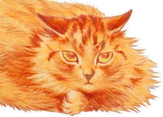😒 chat, chat orange, animal de compagnie, animal, félin telegram sticker