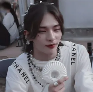 🍭 CHANEL 사람, 팬, 샤넬, 럭셔리 브랜드, 보석, 남성, Kpop whatsapp sticker