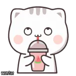 🍼 wontor gato, lindo, bebiendo, bubble tea, kawaii, pegatina telegram sticker