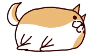 😗 chien, shiba inu, mignon, animal, animal de compagnie whatsapp sticker