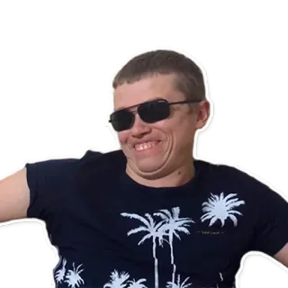 🤪 homme, lunettes de soleil, t-shirt, portrait, personne, souriant telegram sticker