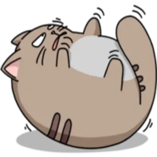 😤 gatto, animale, adesivo, carino, cartone animato, animale domestico whatsapp sticker