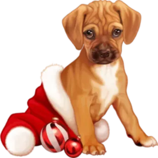 😶 welpe, hund, weihnachten, feiertag, schmuck, süß telegram sticker